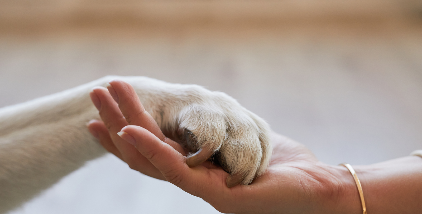 untitled design (10)