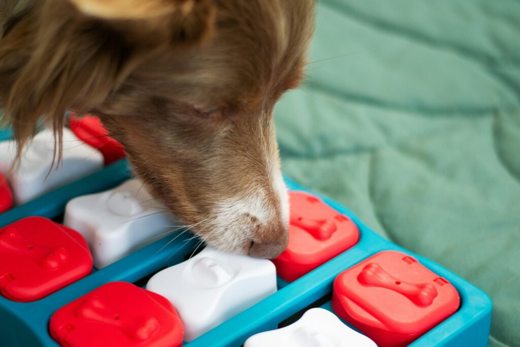 The 5 Types of Dog Toys Every Pup Needs for a Happier Life Dog playing with a puzzle game toy