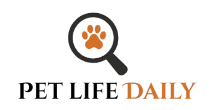 untitled design (15)