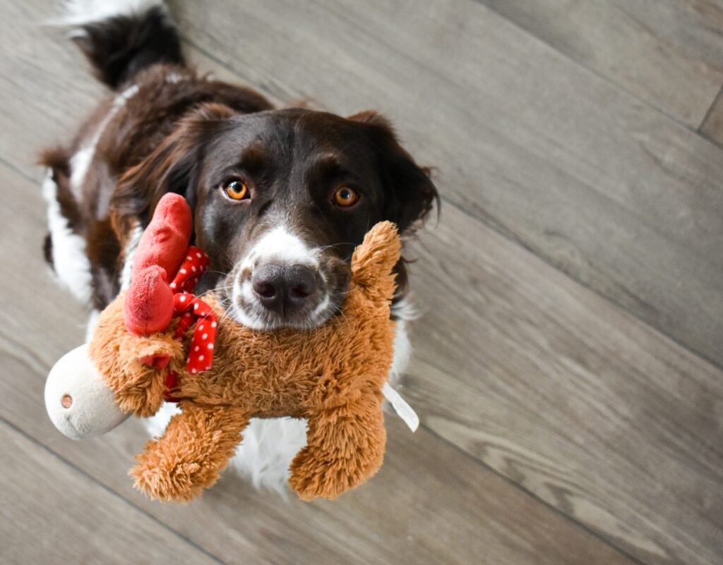 dog playing with stuffed toy. Top 10 Durable Dog Toys for Aggressive Chewers