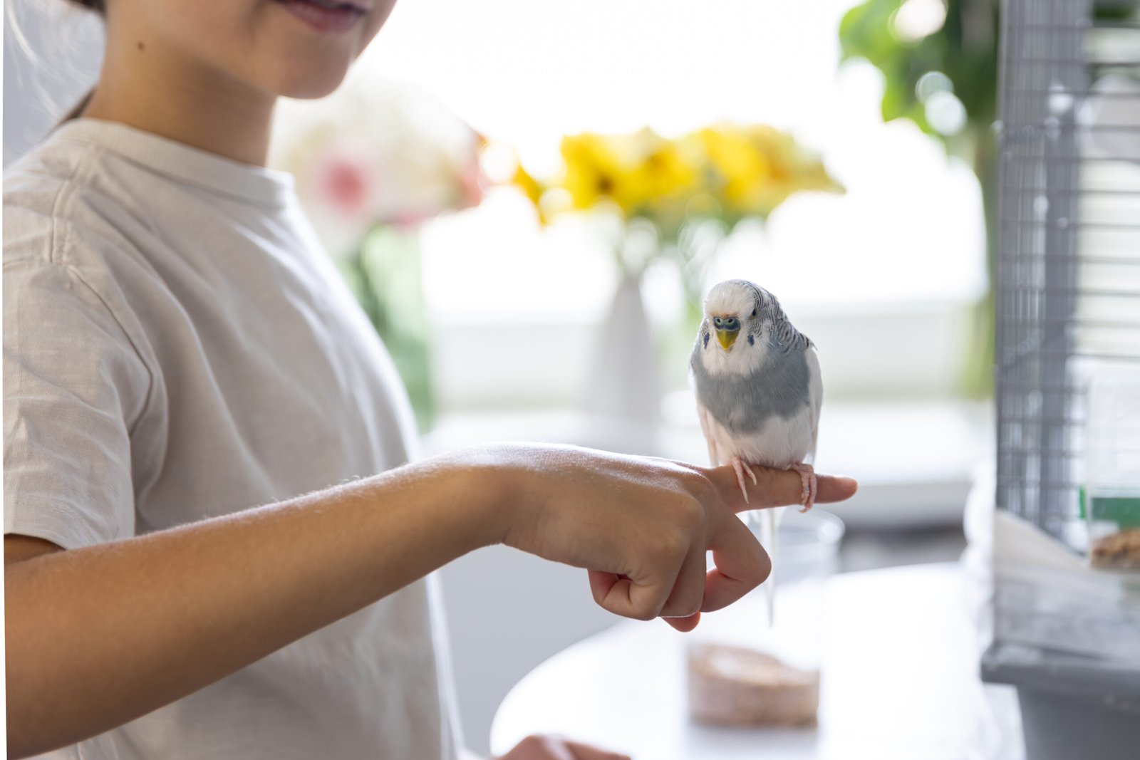 Best Parrot Toys That Keep Your Bird Happy and Busy - pet care article on Pet Life Daily