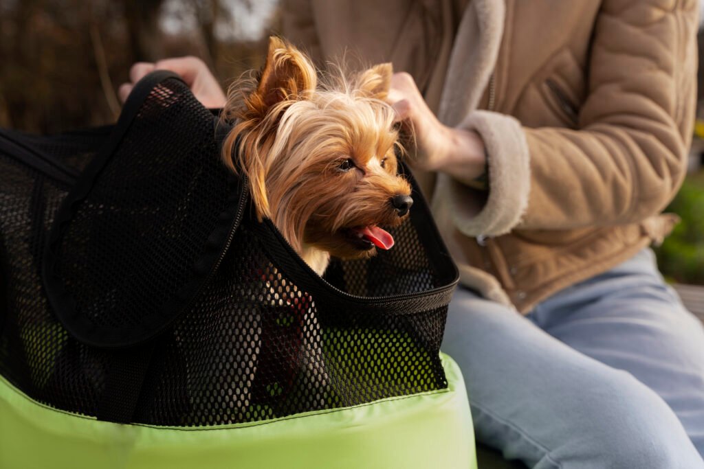 The Ultimate Guide to a Stress-Free Pet Travel Kit