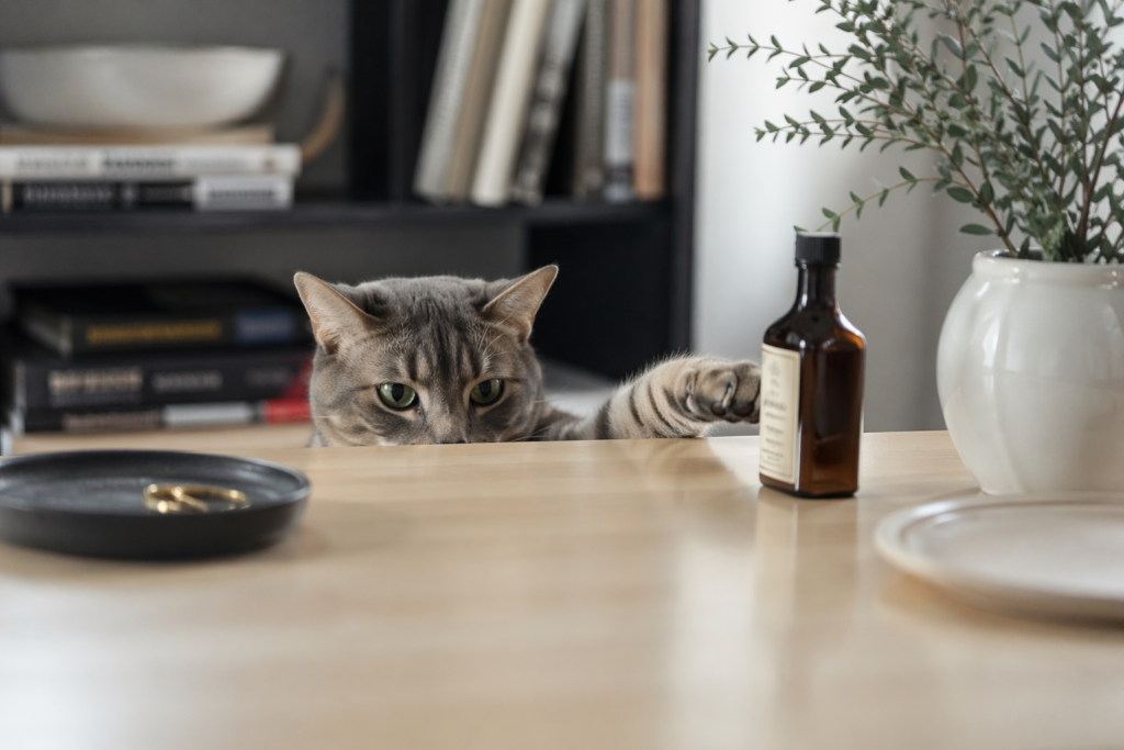 How to Stop Cat From Knocking Things Over
