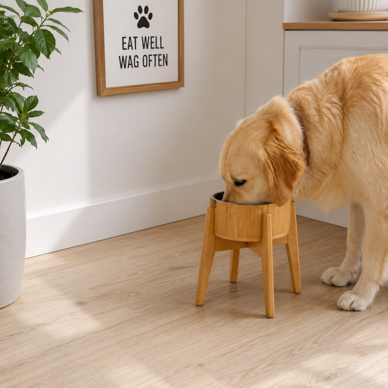 Elevated dog bowls with bamboo steel stand
