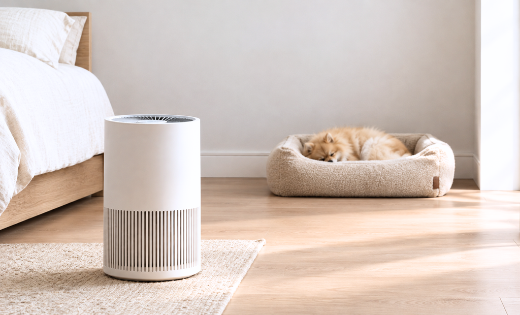 Best-Air-Purifiers-for-Pets-5-Popular-Options-Compared